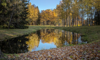 Autumn reflections / ***