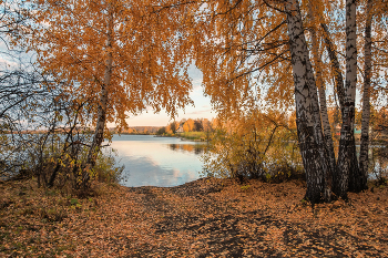 The charm of autumn / ***