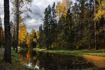Autumn in Pavlovsk / ***