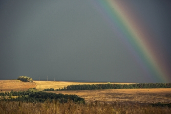 After the rain / ***