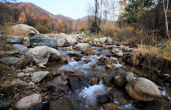 Mountain river / ***