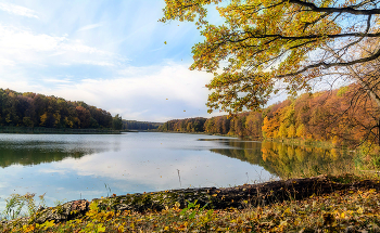 Autumn colors. / ***