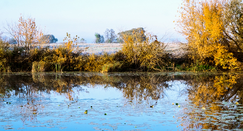 Morning in October. / ***