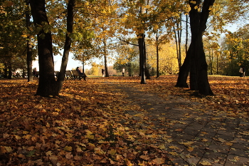 sunny day / ***