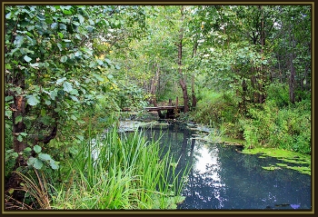 Bridge / " " "