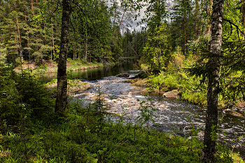 Taiga river / ***