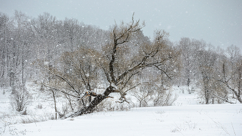 Snow was falling ... / ...