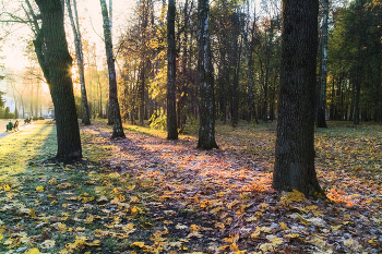 The first frosts / ***