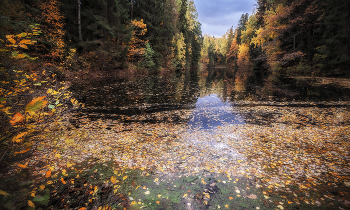 Autumn on the threshold / ***