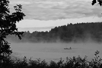 Fishing morning. / ***