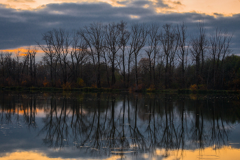 Reflection / ***