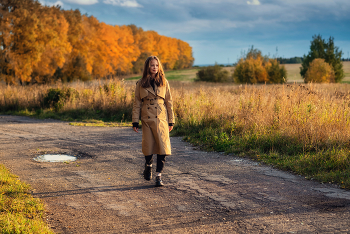 Autumn road / ***