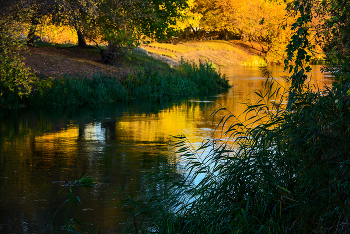 It was getting dark ... / ***