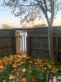 There is, always! / ***