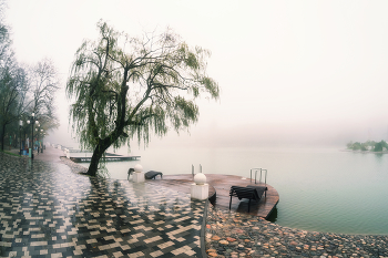 Autumnal melancholy. / ***