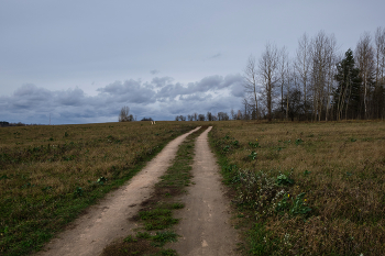 road in a field / ***