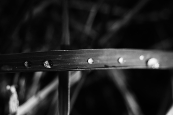 Untitled / ***