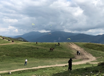 On the ground and in the sky / ***