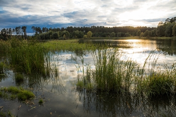 September evening / ***