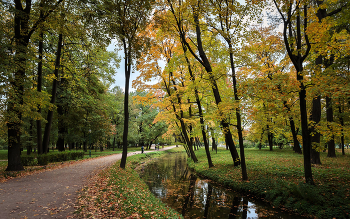 In the fall the park ... / ***