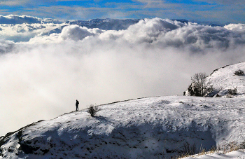 Above the clouds / ***