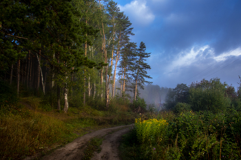 road in the fog / ***