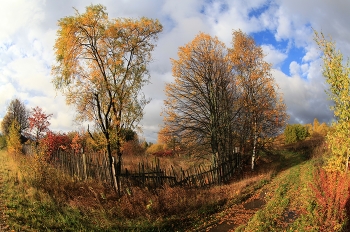 Autumn in the village / ***