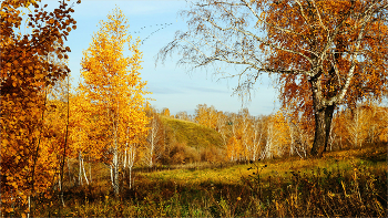Autumn Motives / ***