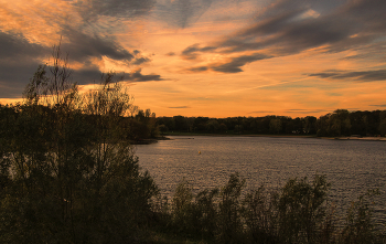 Fog dissipates / ***