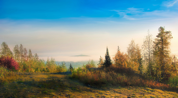 Sunny morning / ***