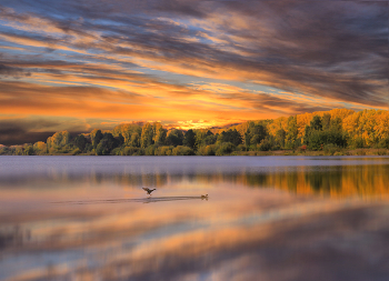 One evening*** / ***