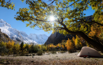 Romance autumn / ***