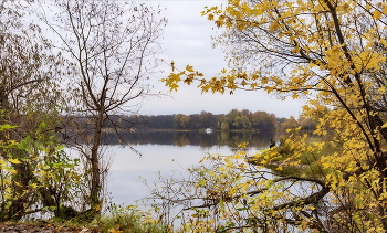 In the stillness of the morning / ***