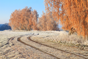 The first frosts / ***