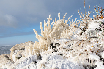 winter has come / ***