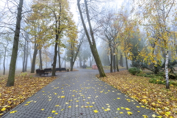 In autumn park / 2022