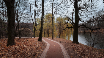 In the fall the park ... / ***