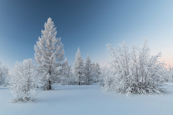 Freezing day / ***