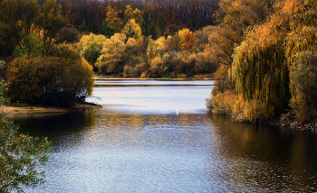 Lake in November / ***