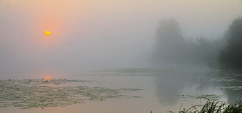 Fog at dawn. / ***