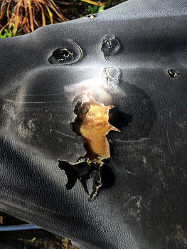 Shizo III / Aufgesplittert