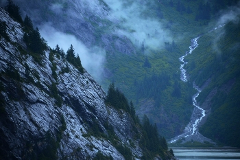 &nbsp; / Alaska, Endicott Arm Fjord