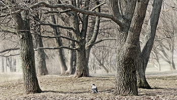 late autumn ... / ***