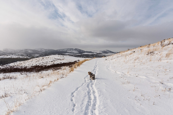 Time to go home! / ***