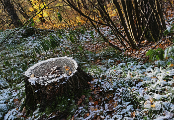 First snow / ***