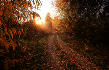 Sunny September / -----