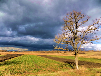 late autumn ... / ***