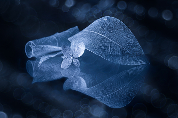 Unpretentious / 2022