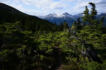 &nbsp; / Juneau, Alaska