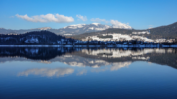 Reflection / ...